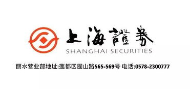 上海證券麗水營業(yè)部開業(yè)盛典，投資控股引領(lǐng)財富未來